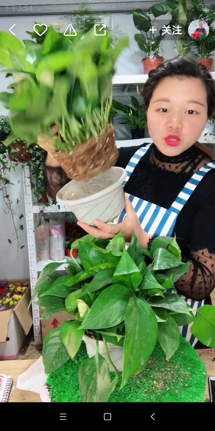 屡试不爽的接单小技巧,屡试不爽的妙招学一下