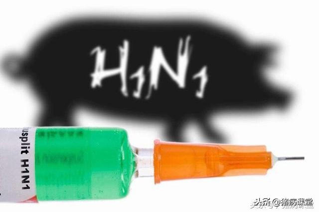 猪场疫苗过敏的处理方法,猪口蹄疫疫苗过敏症状及处理方法