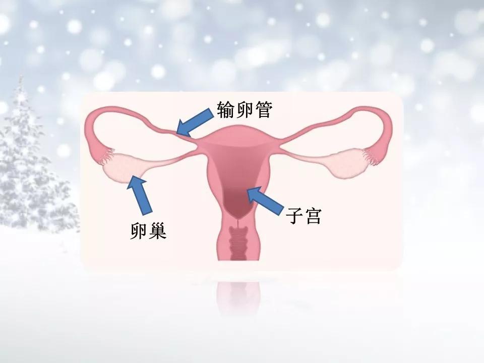 痛经和宫寒是一回事吗,宫寒是怎么一回事呢