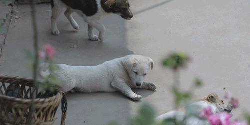 用旧桌子自制沙发,自己动手将桌子改造成流觞曲水桌