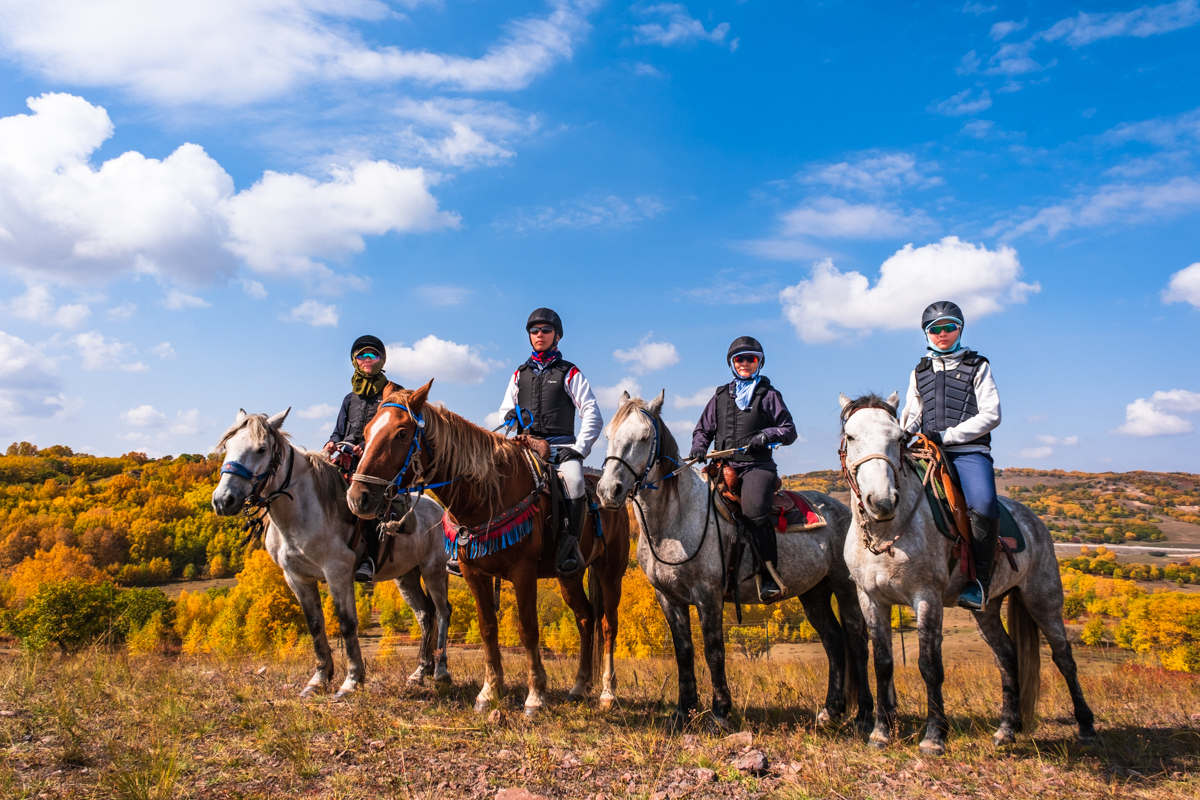 马背之旅旅游攻略,马背之旅旅游视频