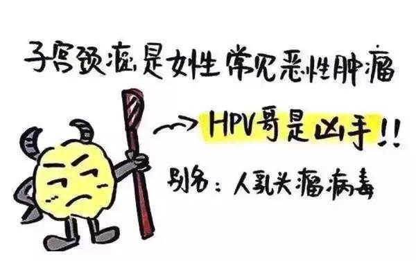 孕前hpv和tct检查有必要吗,孕前tct和hpv检查有必要做么