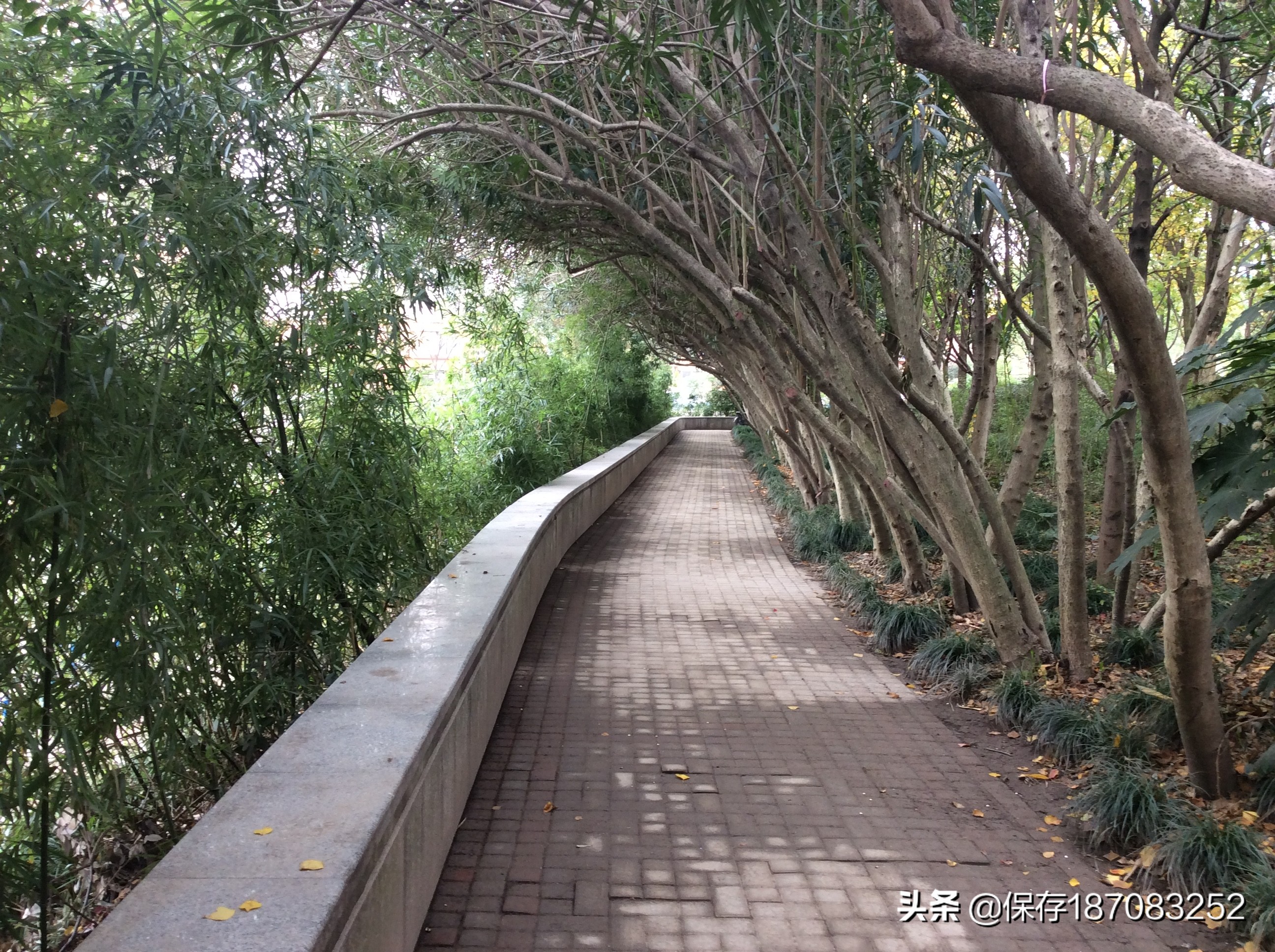 上海徐汇区公园名单,上海梦核公园