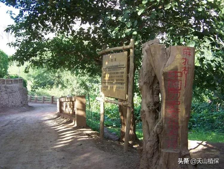 新疆鄯善的景色,新疆既美丽又神秘的地方