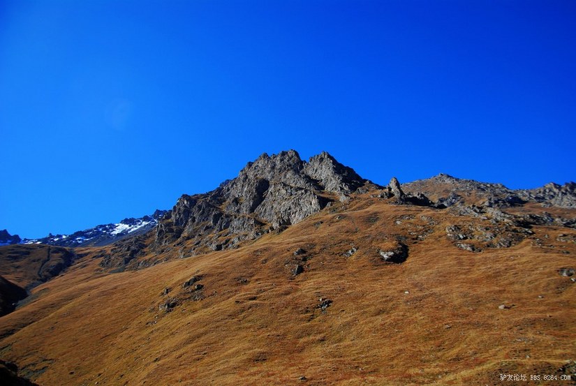 狼c调简谱教唱,狼c