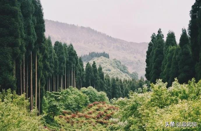 成都周边避暑一日游玩水古镇,成都周边免费避暑古镇地点推荐