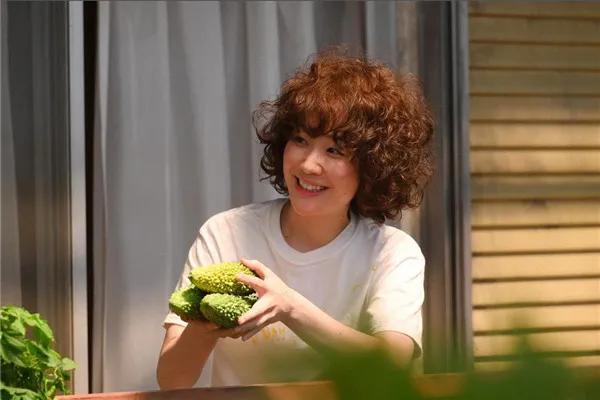 日本只有东京的房子,日本东京农村