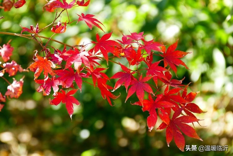 竹泉村景区,最美竹泉村