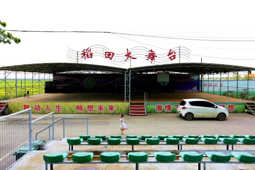 津门网金熙男:最美的稻田