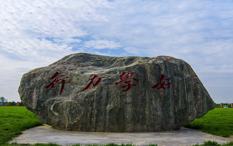 河南民办高校（本科）大起底：野花儿香，能采不？