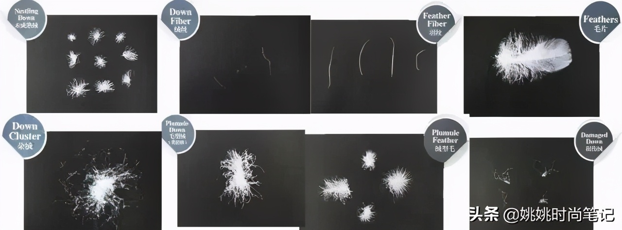 鸭绒或鹅绒充绒量多少暖和,是鸭绒服好还是鹅绒服好