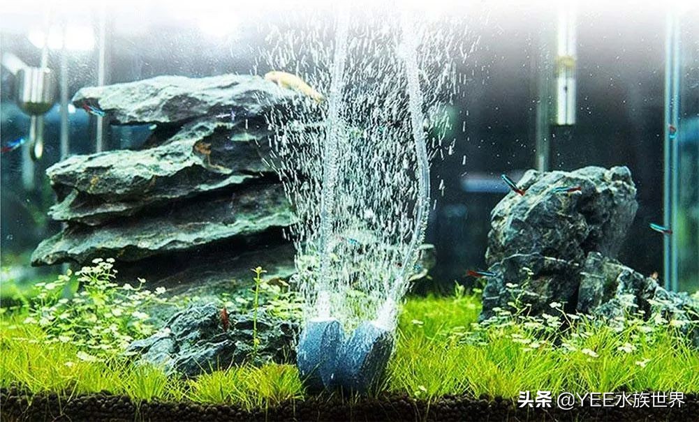 静音氧气泵使用方法,氧气泵太吵从这几点入手效果明显