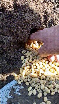 爆笑gif妹子你都拖大家的后腿了,搞笑gif妹子绝对是一位运动健将