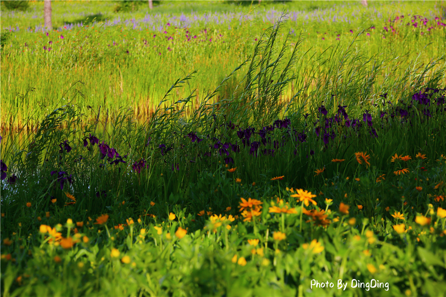 避暑就去这些山水古镇,长白山二道白河镇游玩地图