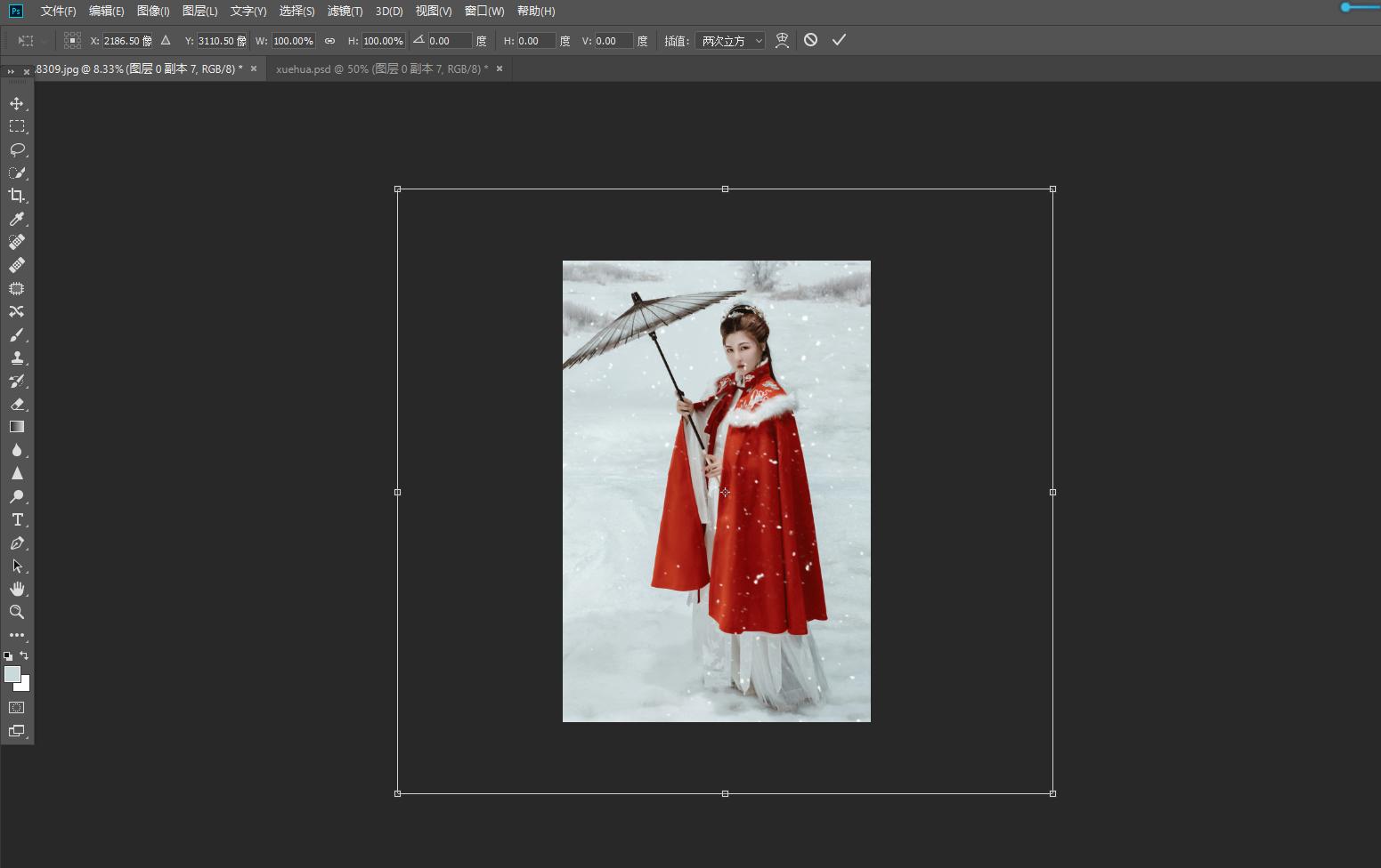 如何用相机拍出好看的雪景,下雪怎么拍出雪花照片
