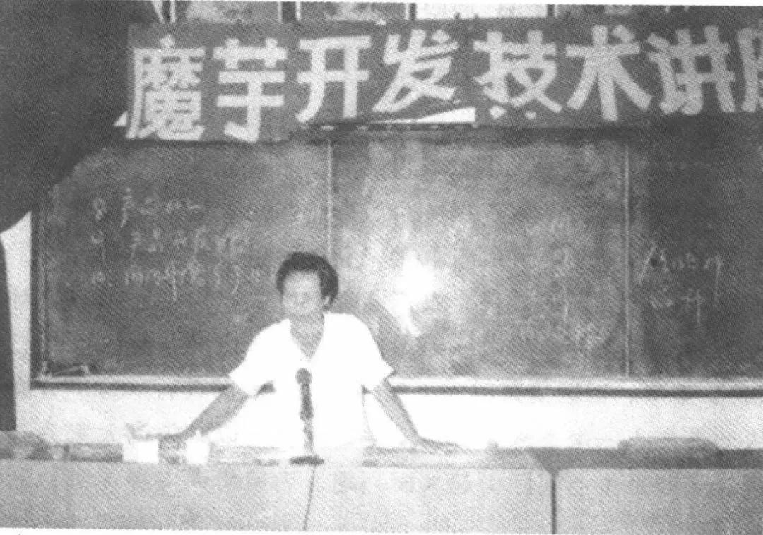 被打的老教授，吃饱的中国人