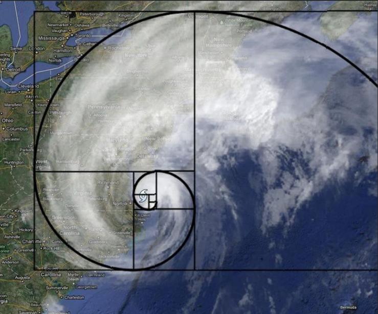 飞蛾扑火原因简短,飞蛾为什么扑火用科学现象解释