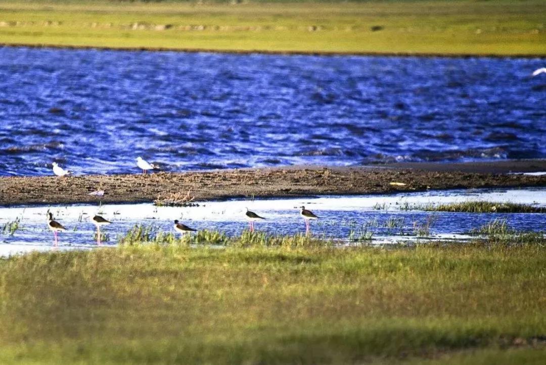 宁夏66号公路自驾路线图,美国66号公路自驾攻略