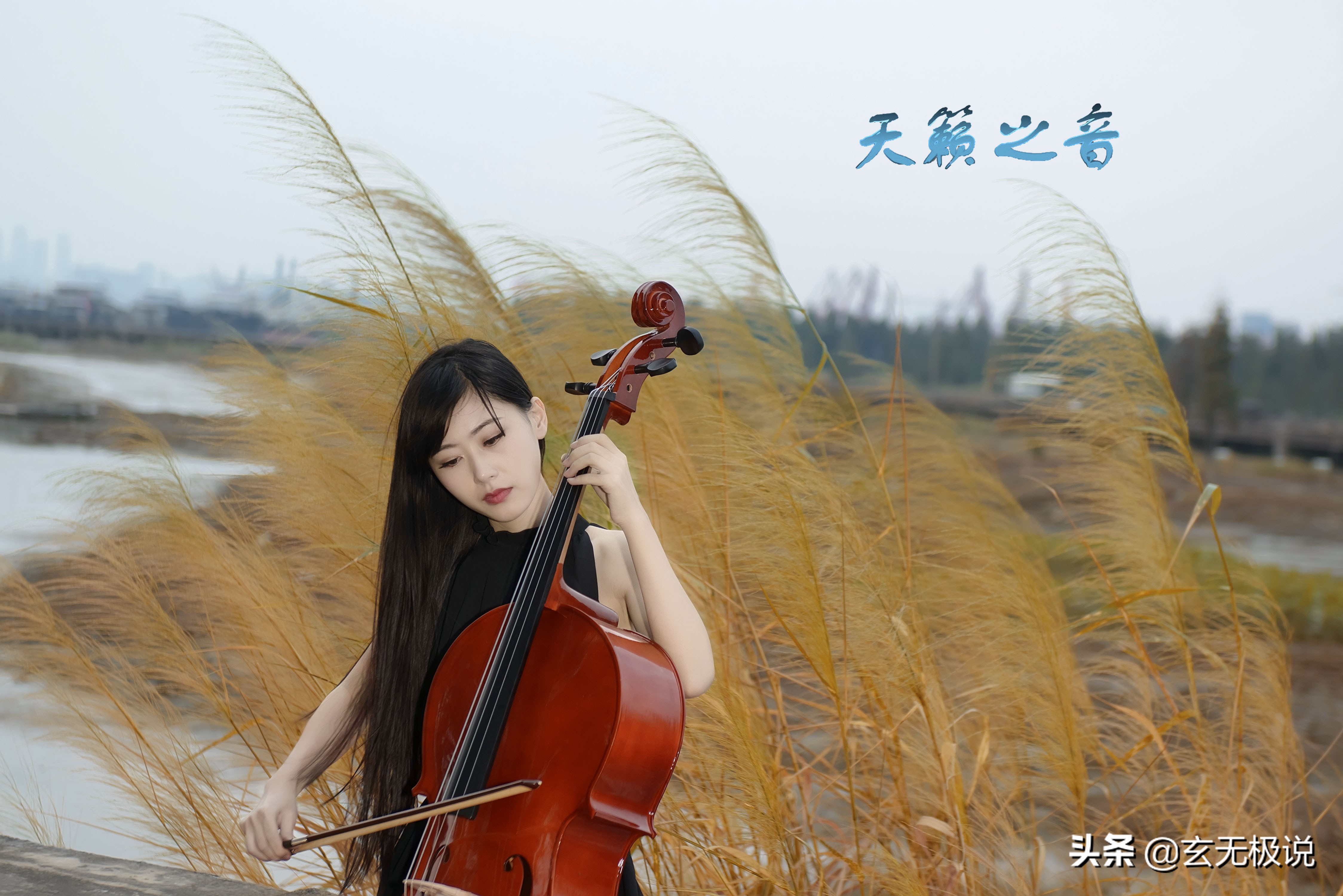 庄子齐物入道,庄子齐物论三大境界