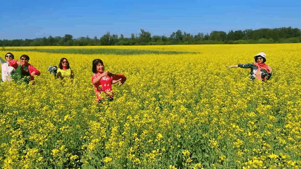 东北游记攻略,东北游记最新视频