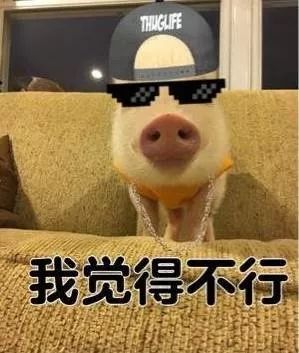 猫狗漱口水是智商税吗,猫狗口腔洁净喷雾漱口水