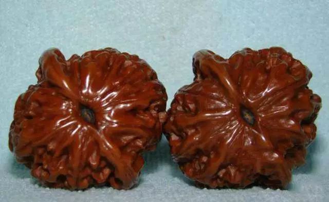 文玩核桃封脐,核桃封脐用什么东西最简单