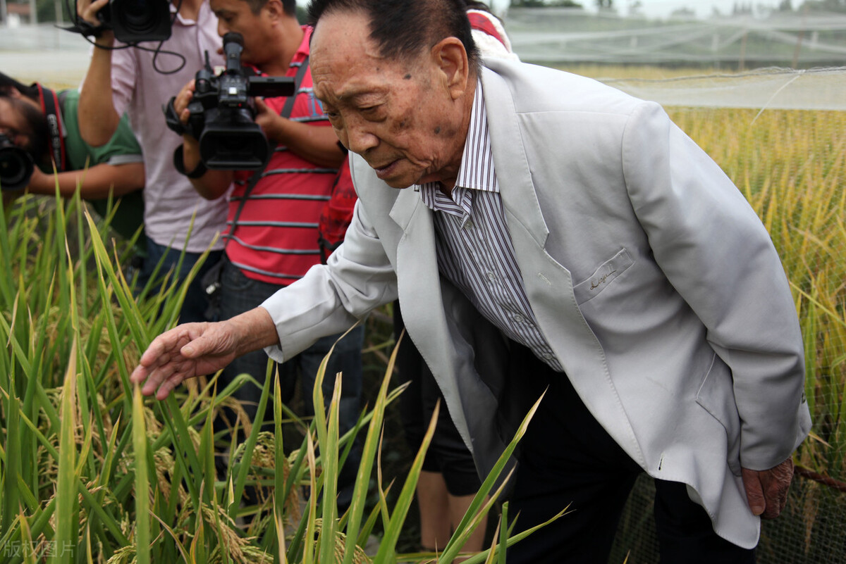 袁隆平谈年轻时游泳,袁隆平看足球