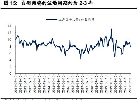圣农发展十亿白羽鸡地址,圣农发展白羽鸡龙头