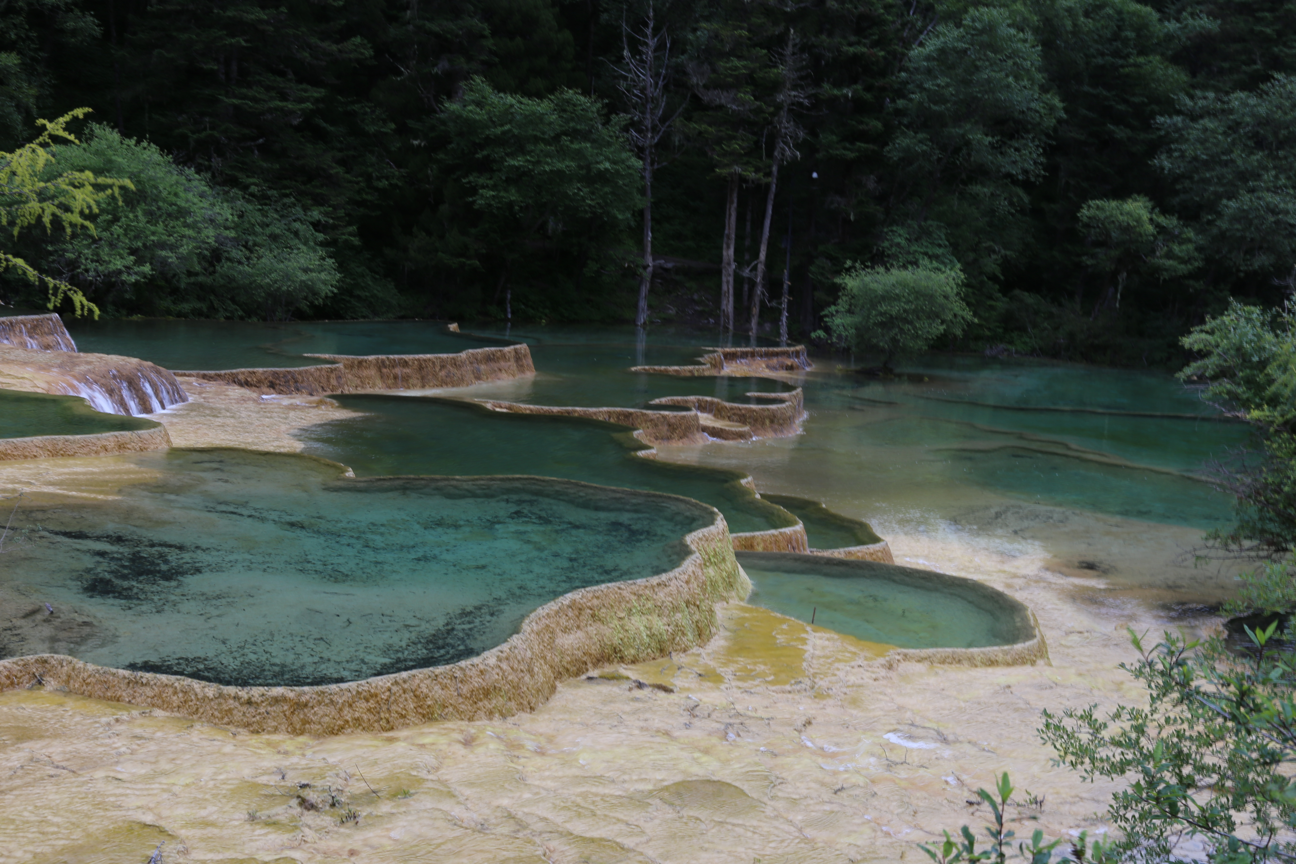 自驾游六——四川黄龙景区随笔