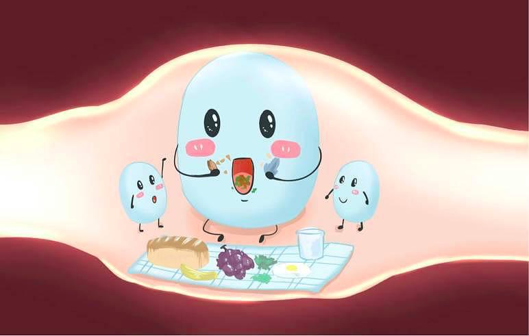 益生菌提高免疫力的有哪些,提高免疫力的益生菌哪个牌子好