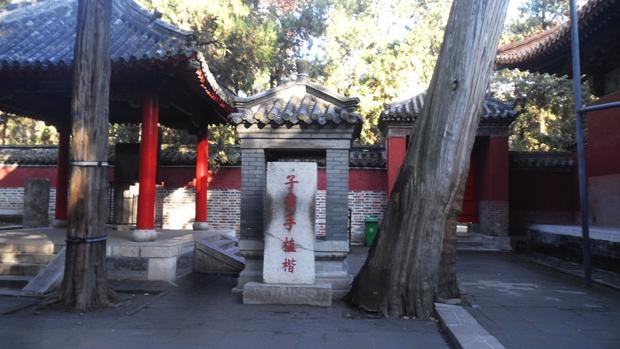 孔林是最大的氏族墓地吗,孔林最大墓葬群