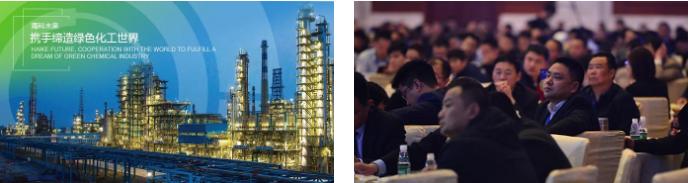 海科石化服务管理,海科石化的发展战略