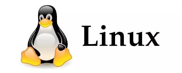深入探索linux操作系统,linux怎么查看操作系统位数