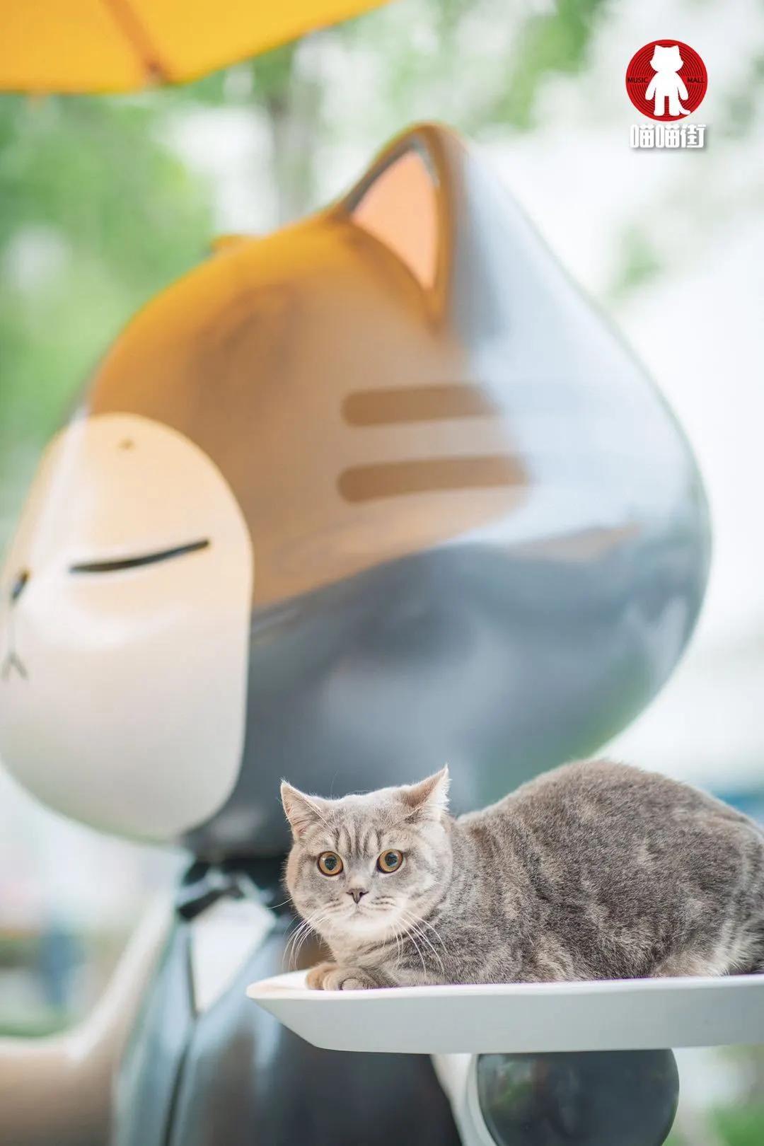 南京小众景点,南京小众花园秘境