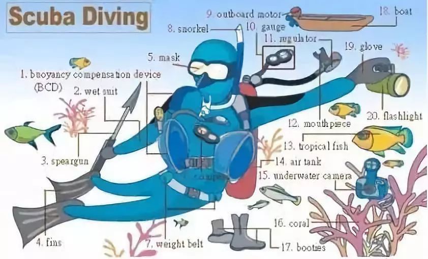 家庭物品英语单词图片大全,34张图教你记住英语