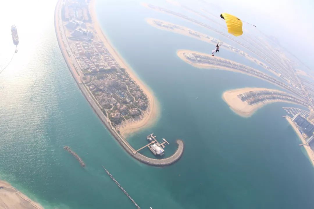 靠捡垃圾成了千亿富翁完整版,捡垃圾变成百万富翁