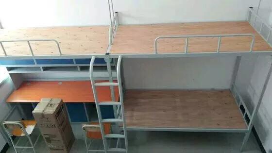 大学宿舍5人间哪个最好,《大学》宿舍对比