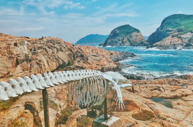 香港太平山拍照最佳机位,香港最适合拍照的地方