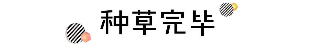 2019最佳推荐的六支口红,斩男大牌口红