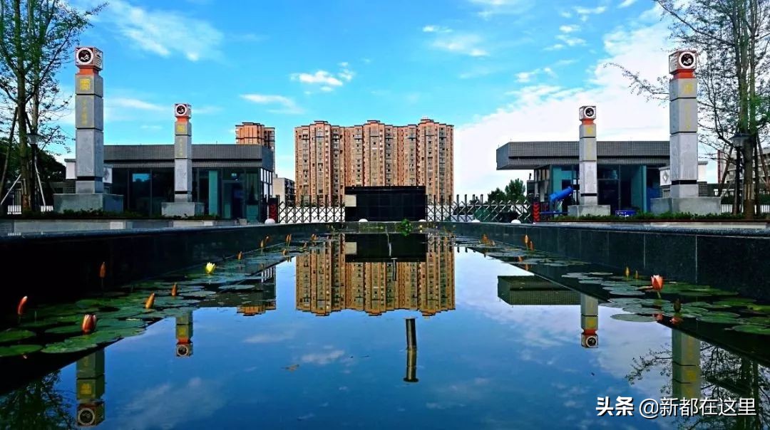 成都市各区教育质量排名,成都市学校升学率排名