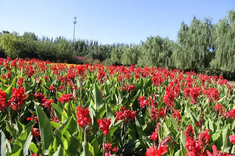包头市新花海景点,包头最美的地方