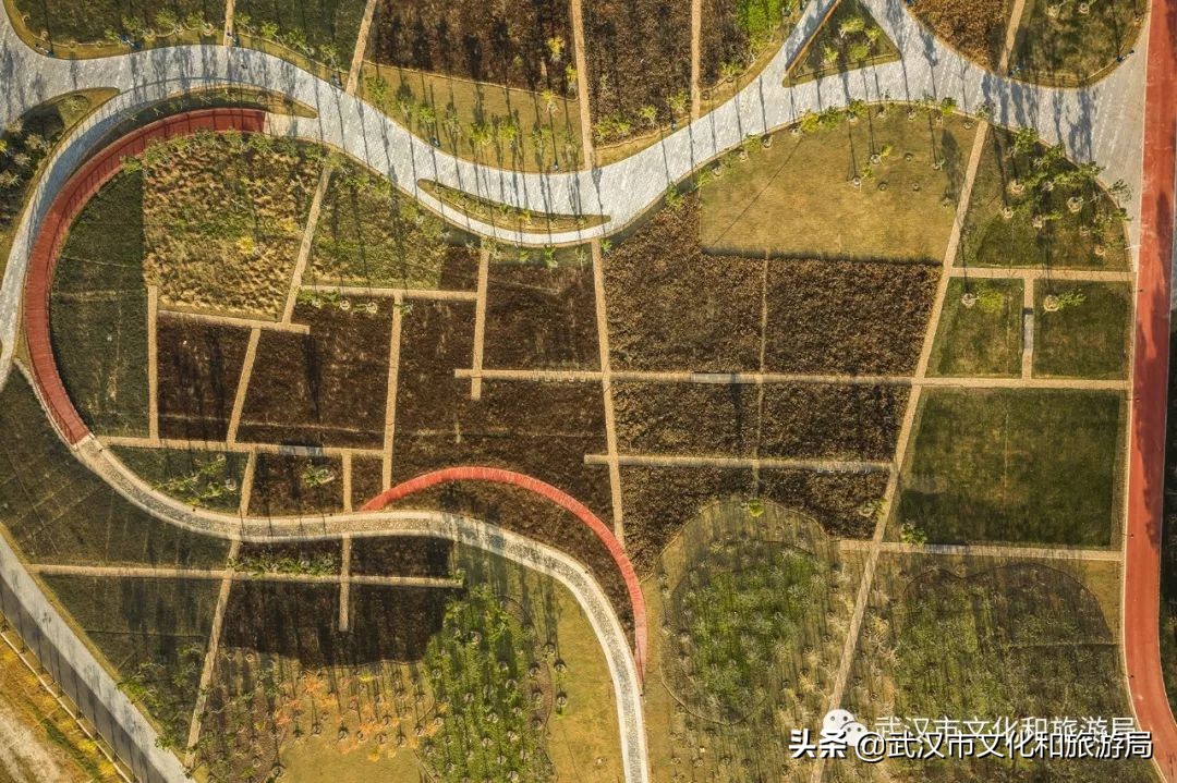 武汉江滩特大桥,武汉新建江滩