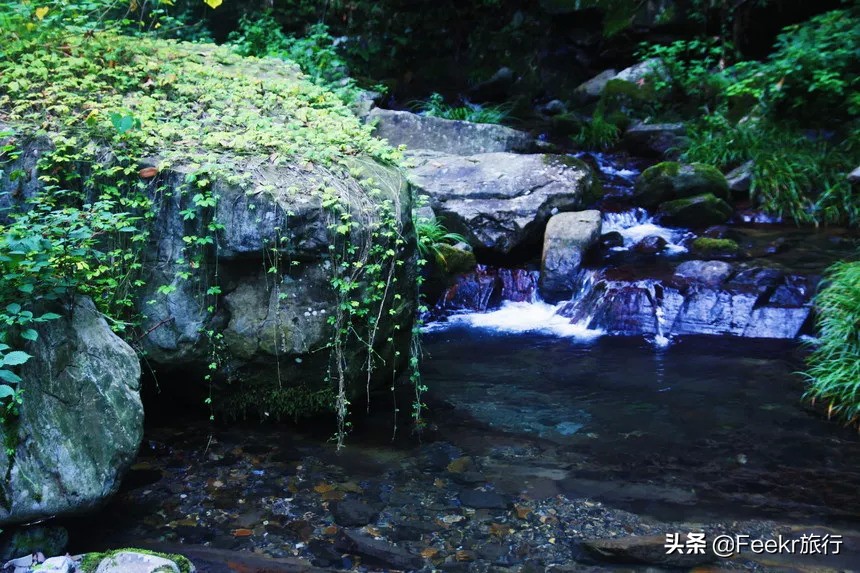 全网为阿朵淘汰鸣不平，而我想去她隐居5年的“世外桃源”静一静