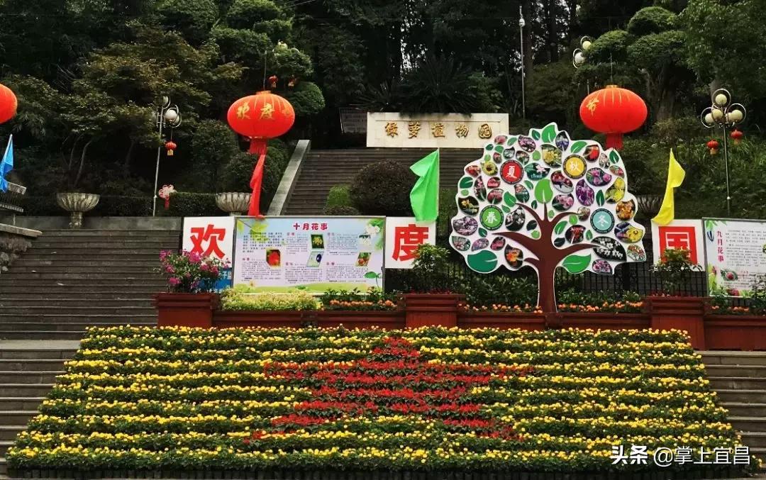 宜昌花海美景,宜昌哪里的花海最美