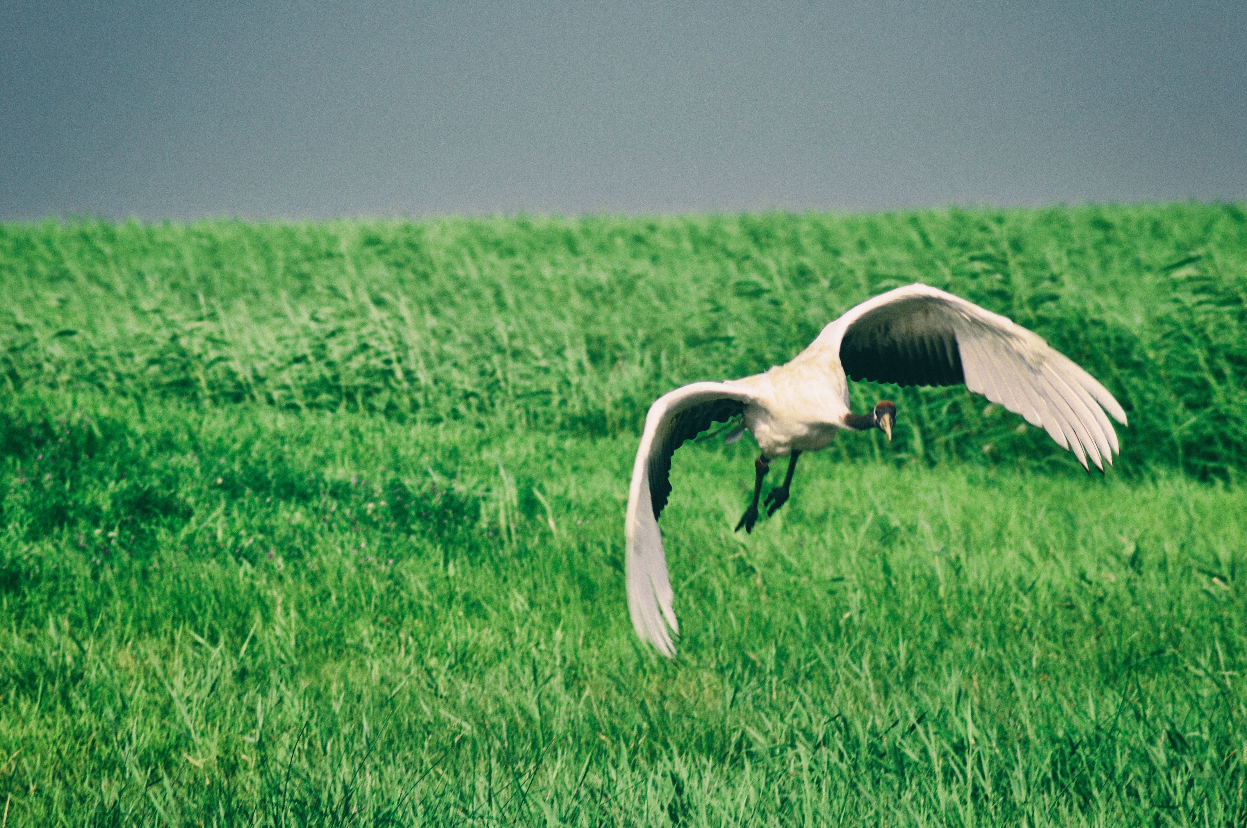 东北游记攻略,东北游记最新视频