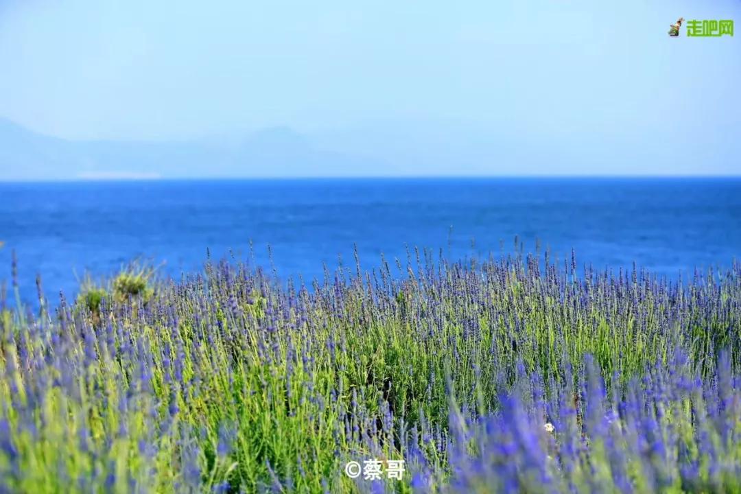 云南十大公路自驾游,云南自驾5条最佳线路图