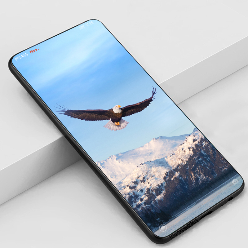 花鸟壁纸动物壁纸,动物壁纸高清手机壁纸