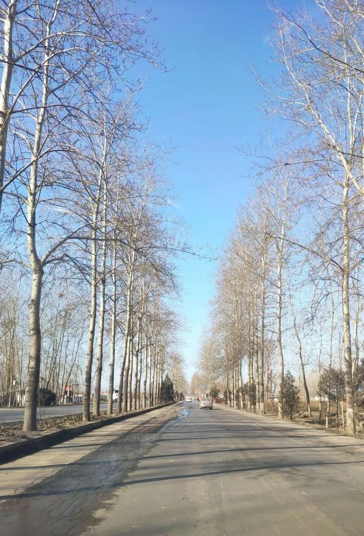 疫情下的平山,东莞平山疫情最新今天