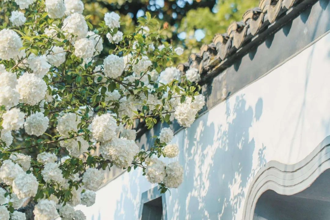 因为一首歌而爆火的城市,靠着一首歌走红的人