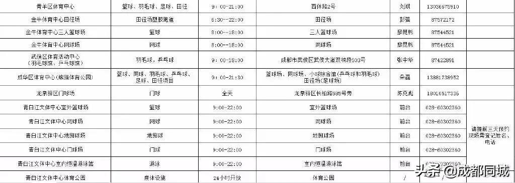 成都公共球场,成都公共体育场馆